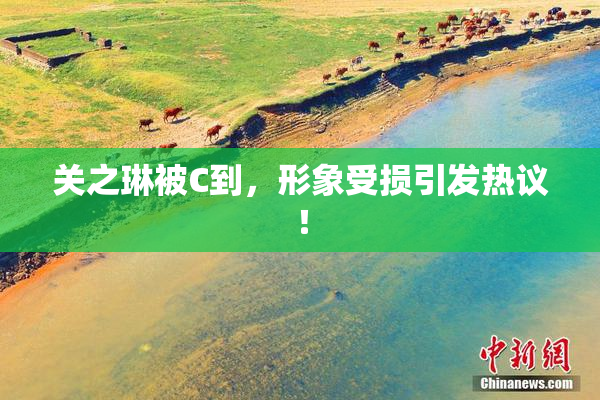 关之琳被C到，形象受损引发热议！