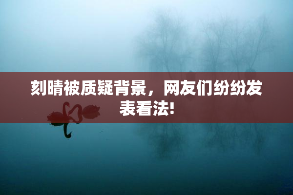 刻晴被质疑背景，网友们纷纷发表看法!