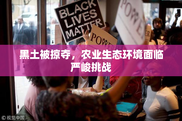 黑土被掠夺，农业生态环境面临严峻挑战