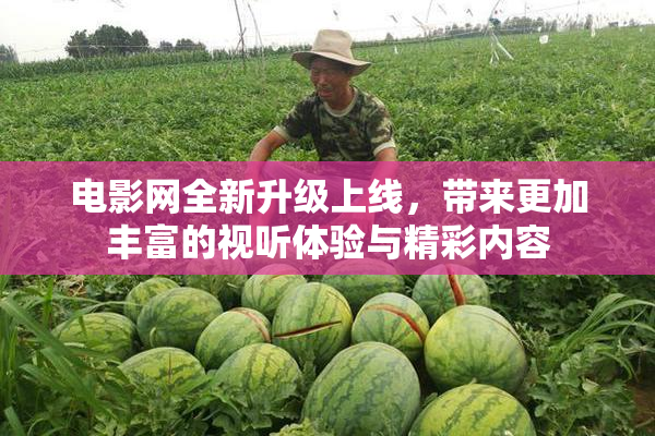 电影网全新升级上线，带来更加丰富的视听体验与精彩内容
