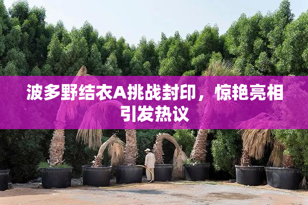 波多野结衣A挑战封印，惊艳亮相引发热议