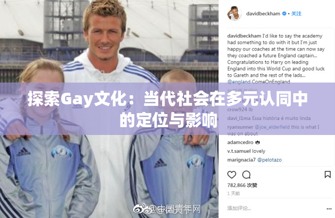 探索Gay文化：当代社会在多元认同中的定位与影响