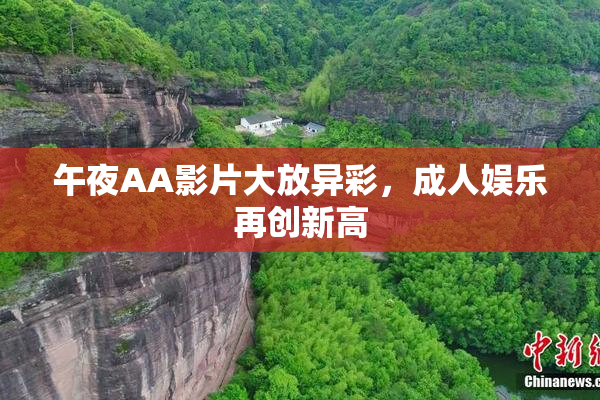 午夜AA影片大放异彩，成人娱乐再创新高