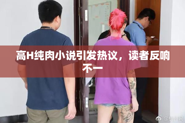 高H纯肉小说引发热议，读者反响不一