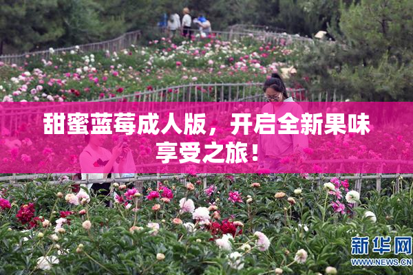 甜蜜蓝莓成人版，开启全新果味享受之旅！