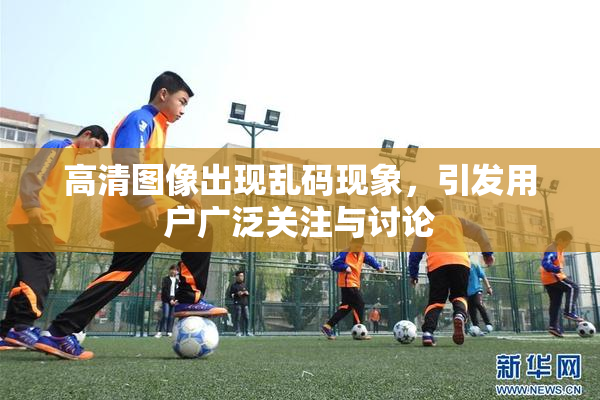 高清图像出现乱码现象，引发用户广泛关注与讨论