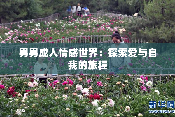 男男成人情感世界：探索爱与自我的旅程
