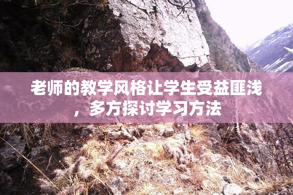 老师的教学风格让学生受益匪浅，多方探讨学习方法