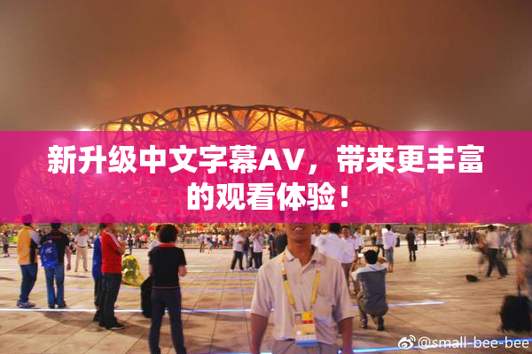 新升级中文字幕AV，带来更丰富的观看体验！