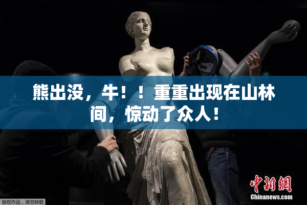 熊出没，牛！！重重出现在山林间，惊动了众人！
