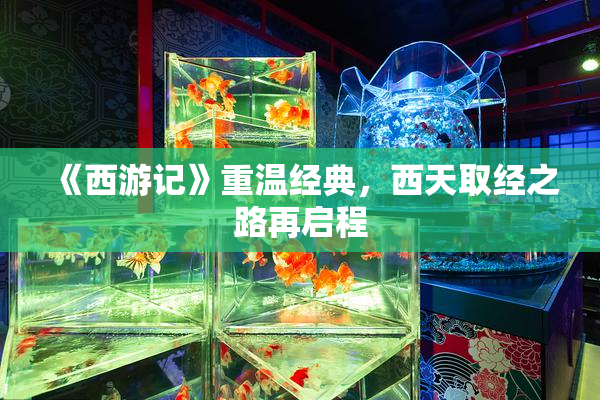《西游记》重温经典，西天取经之路再启程