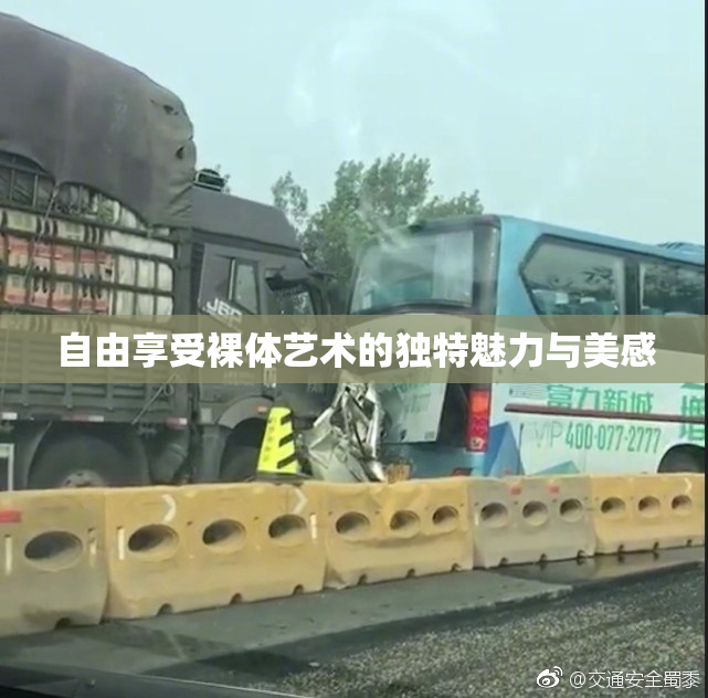 自由享受裸体艺术的独特魅力与美感