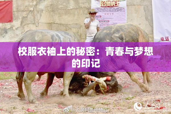 校服衣袖上的秘密：青春与梦想的印记