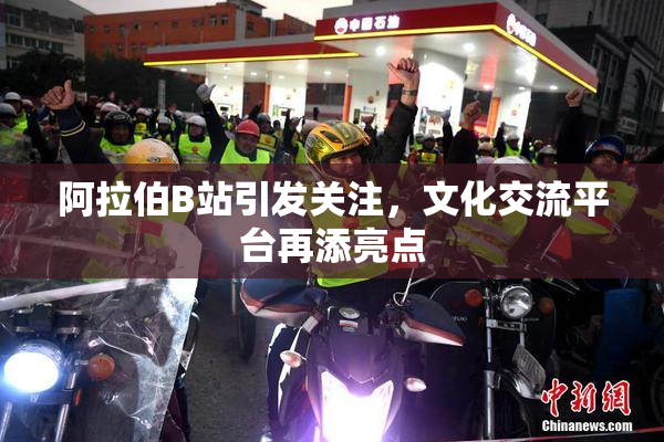 阿拉伯B站引发关注，文化交流平台再添亮点