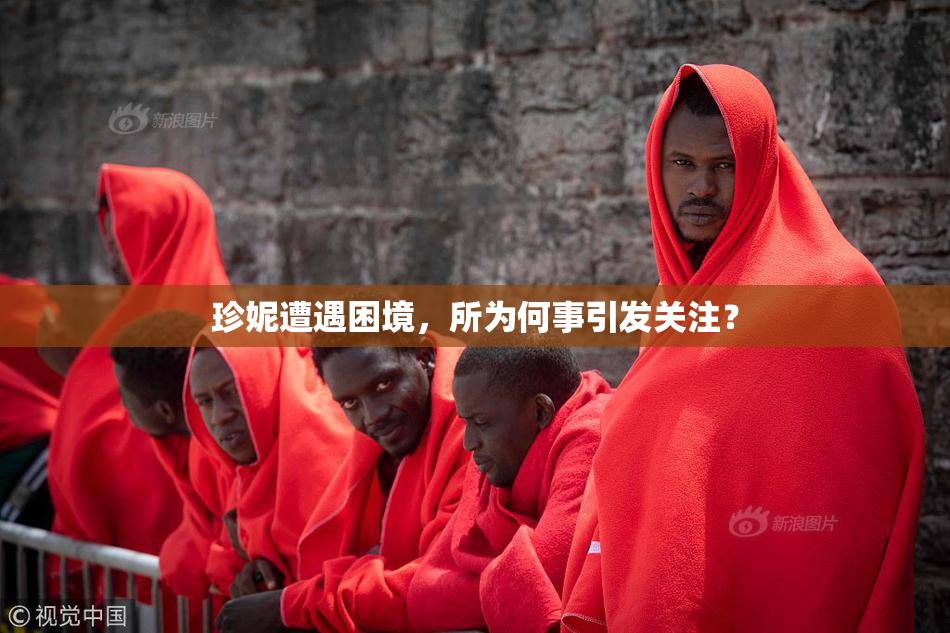 珍妮遭遇困境，所为何事引发关注？