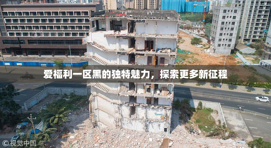 爱福利一区黑的独特魅力，探索更多新征程