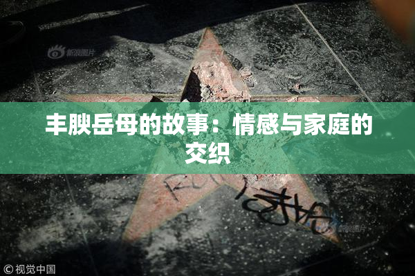 丰腴岳母的故事：情感与家庭的交织