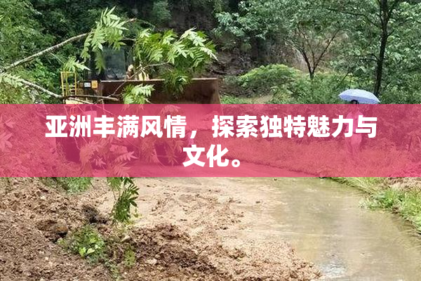 亚洲丰满风情，探索独特魅力与文化。