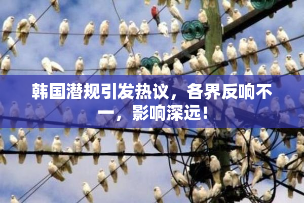 韩国潜规引发热议，各界反响不一，影响深远！