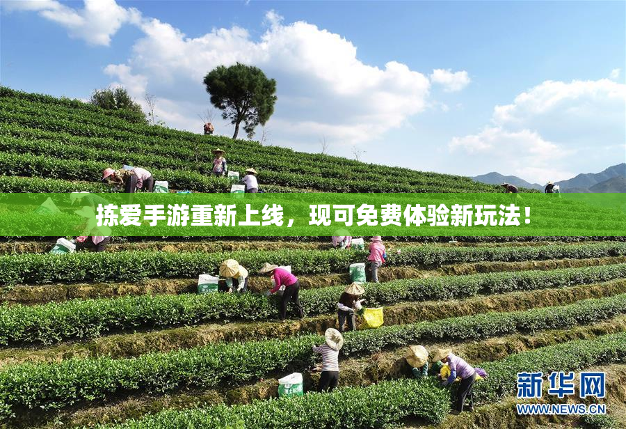 拣爱手游重新上线，现可免费体验新玩法！