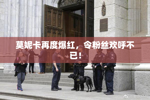 莫妮卡再度爆红，令粉丝欢呼不已！
