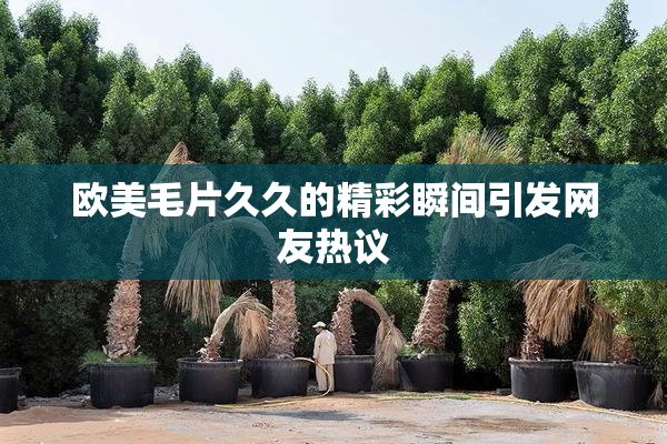欧美毛片久久的精彩瞬间引发网友热议