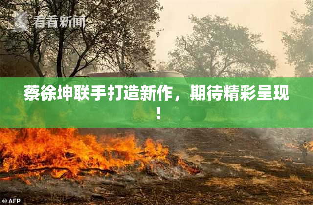蔡徐坤联手打造新作，期待精彩呈现！
