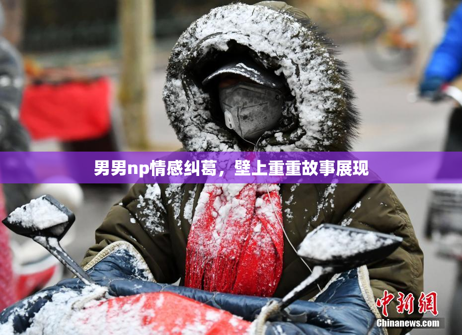 男男np情感纠葛，壁上重重故事展现