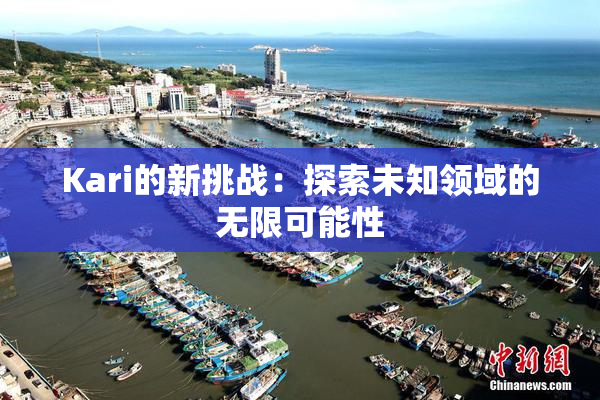 Kari的新挑战：探索未知领域的无限可能性