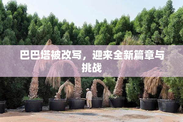 巴巴塔被改写，迎来全新篇章与挑战