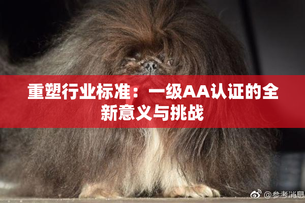 重塑行业标准：一级AA认证的全新意义与挑战