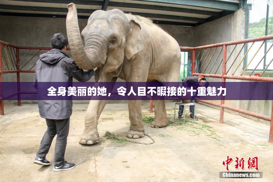 全身美丽的她，令人目不暇接的十重魅力