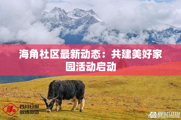 海角社区最新动态：共建美好家园活动启动