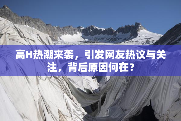 高H热潮来袭，引发网友热议与关注，背后原因何在？