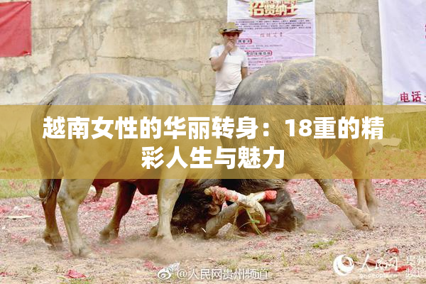 越南女性的华丽转身：18重的精彩人生与魅力