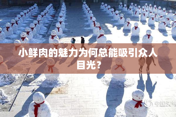 小鲜肉的魅力为何总能吸引众人目光？
