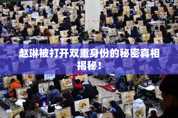 赵琳被打开双重身份的秘密真相揭秘！