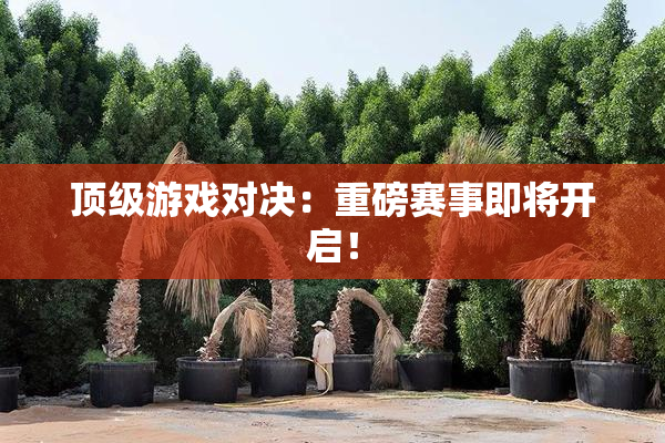 顶级游戏对决：重磅赛事即将开启！