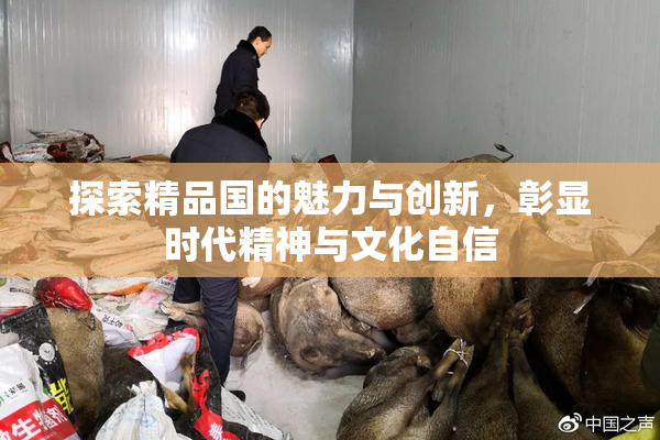 探索精品国的魅力与创新，彰显时代精神与文化自信