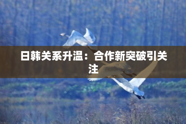 日韩关系升温：合作新突破引关注