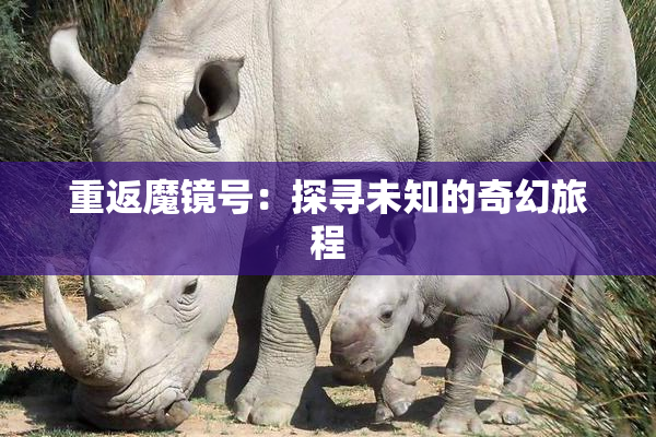 重返魔镜号：探寻未知的奇幻旅程