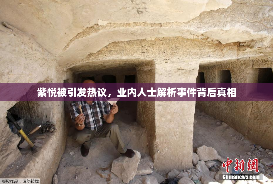 紫悦被引发热议，业内人士解析事件背后真相
