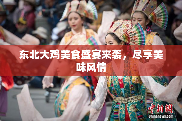 东北大鸡美食盛宴来袭，尽享美味风情