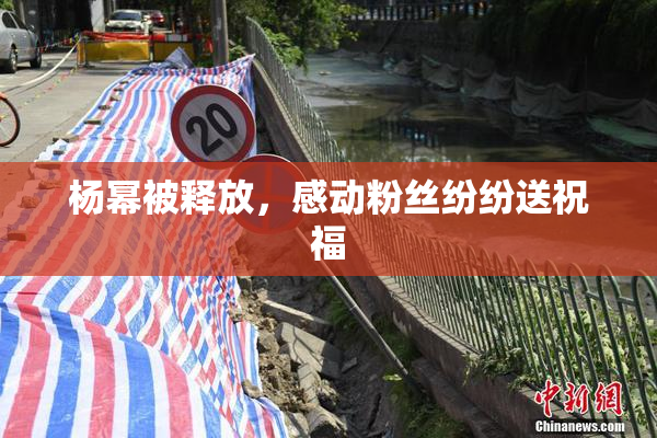 杨幂被释放，感动粉丝纷纷送祝福
