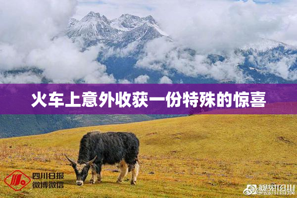 火车上意外收获一份特殊的惊喜