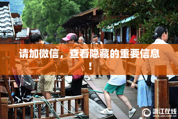 请加微信，查看隐藏的重要信息！