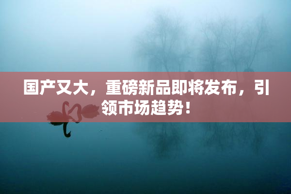 国产又大，重磅新品即将发布，引领市场趋势！