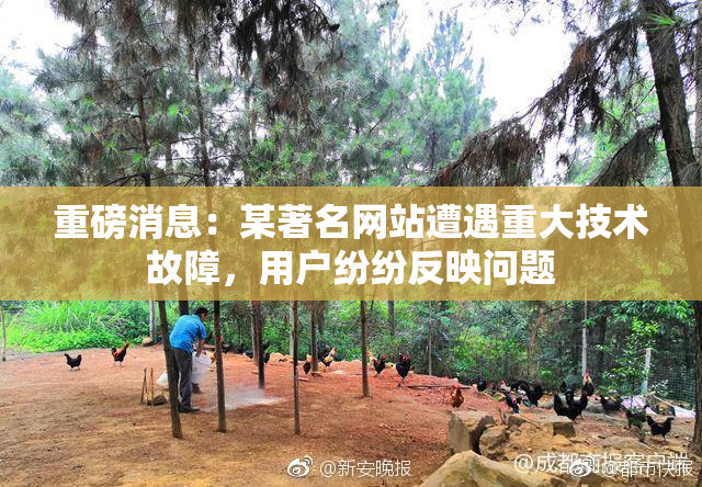 重磅消息：某著名网站遭遇重大技术故障，用户纷纷反映问题