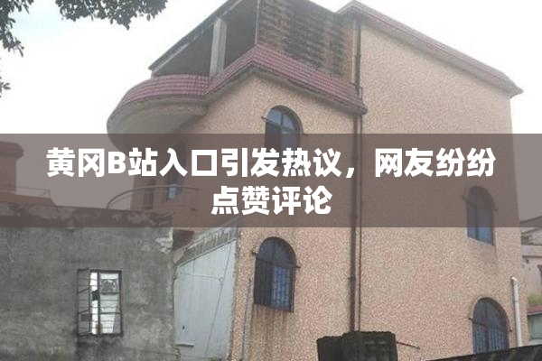 黄冈B站入口引发热议，网友纷纷点赞评论