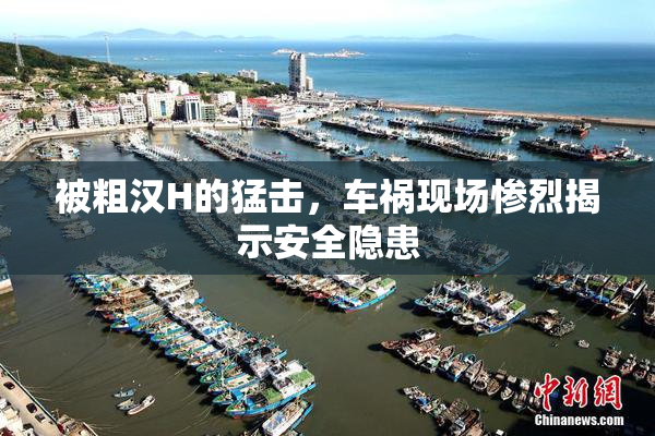 被粗汉H的猛击，车祸现场惨烈揭示安全隐患
